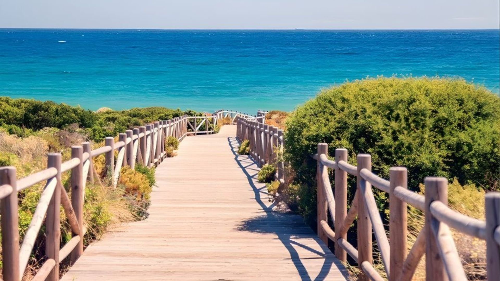 Soul Marbella Sunlife Beach